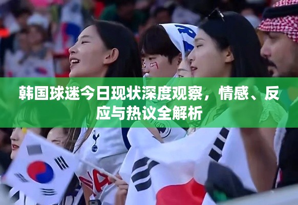 韩国球迷今日现状深度观察，情感、反应与热议全解析