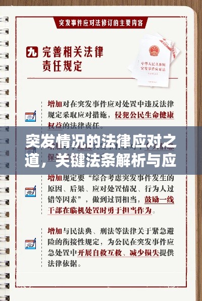 2025年6月10日 第4页