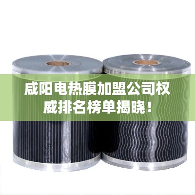 咸阳电热膜加盟公司权威排名榜单揭晓！