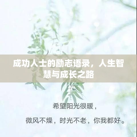 成功人士的励志语录，人生智慧与成长之路