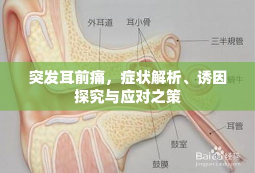 突发耳前痛，症状解析、诱因探究与应对之策