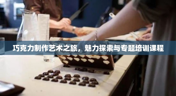 巧克力制作艺术之旅，魅力探索与专题培训课程
