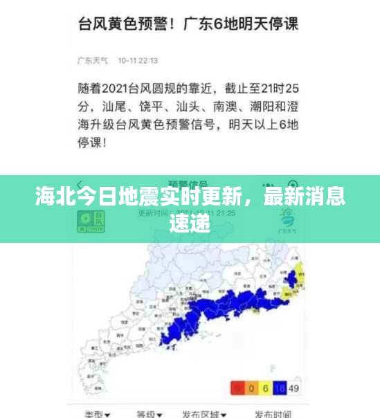 2025年6月11日 第4页