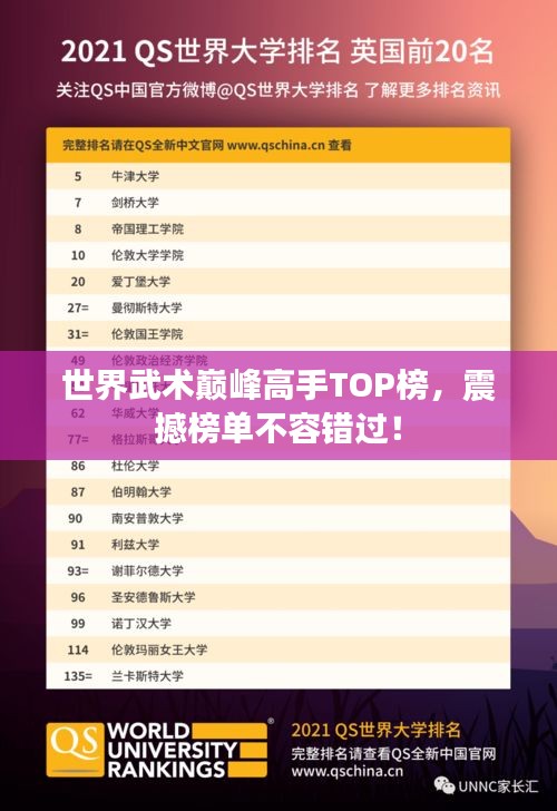 世界武术巅峰高手TOP榜，震撼榜单不容错过！