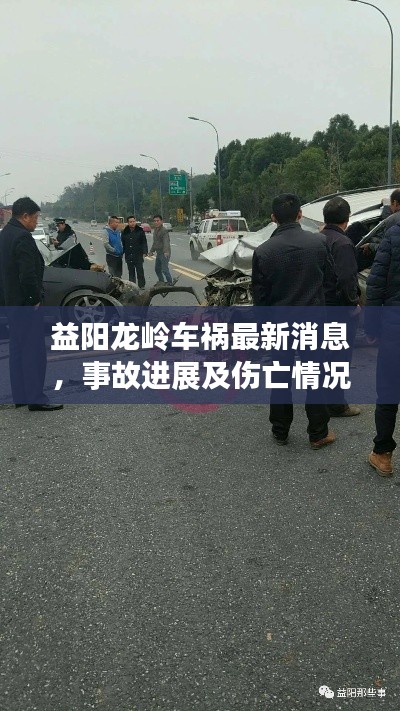 益阳龙岭车祸最新消息，事故进展及伤亡情况一览