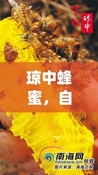 琼中蜂蜜，自然之蜜，甜蜜之选