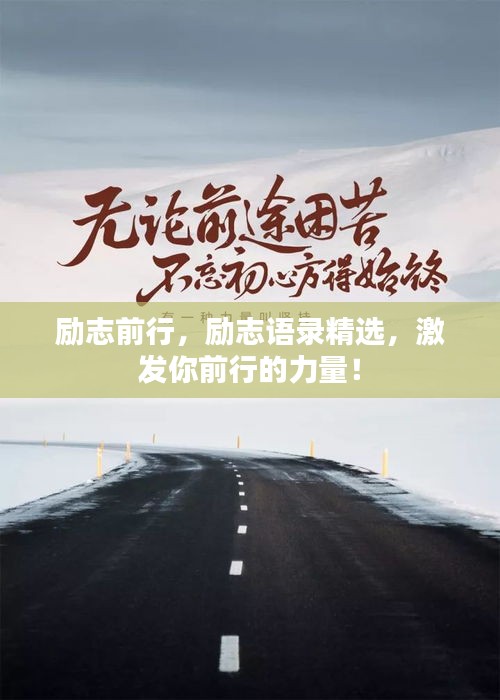 不期而遇