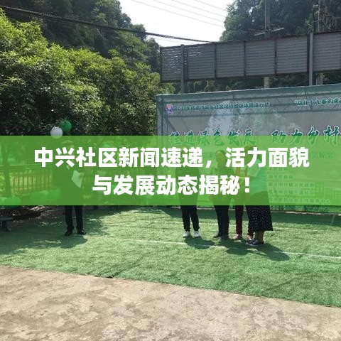 中兴社区新闻速递，活力面貌与发展动态揭秘！