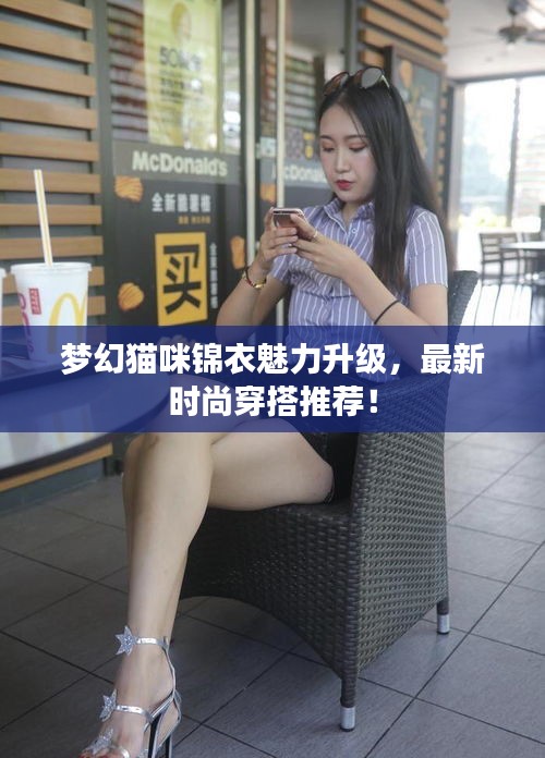 梦幻猫咪锦衣魅力升级，最新时尚穿搭推荐！