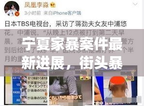宁夏家暴案件最新进展，街头暴力事件报道及分析