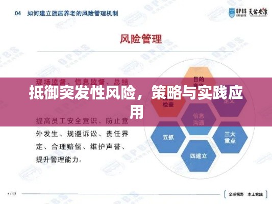 抵御突发性风险，策略与实践应用