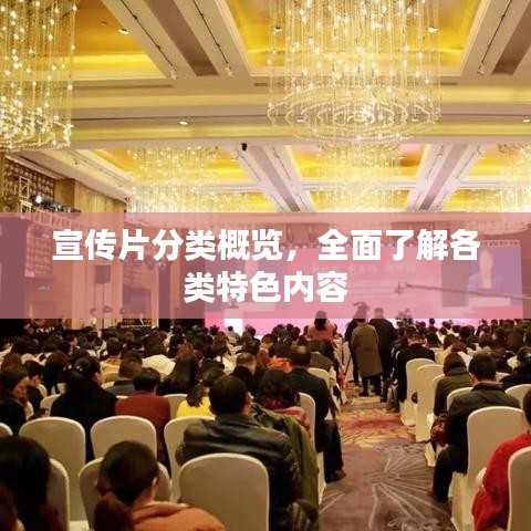 宣传片分类概览，全面了解各类特色内容