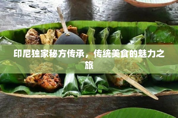 印尼独家秘方传承，传统美食的魅力之旅