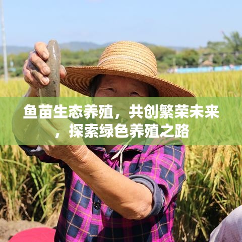 鱼苗生态养殖，共创繁荣未来，探索绿色养殖之路