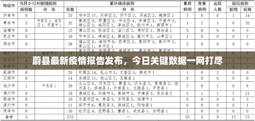 蔚县最新疫情报告发布，今日关键数据一网打尽