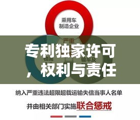 专利独家许可，权利与责任的微妙平衡