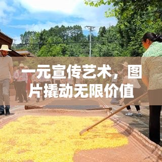 一元宣传艺术，图片撬动无限价值的秘诀！