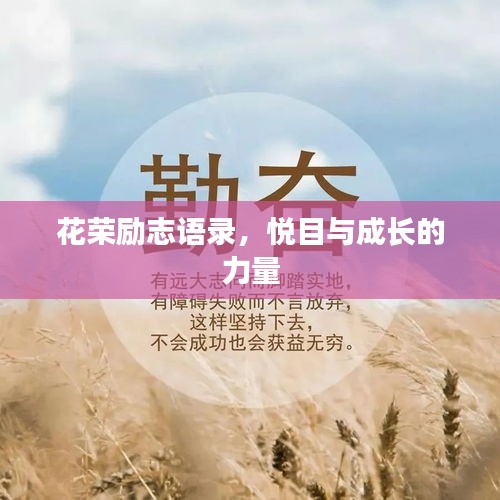 花荣励志语录，悦目与成长的力量