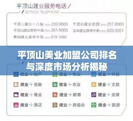 平顶山美业加盟公司排名与深度市场分析揭秘