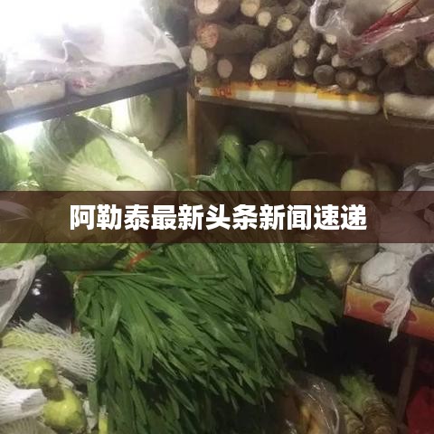 迷离马虎