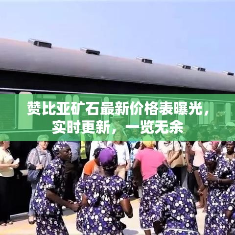 赞比亚矿石最新价格表曝光，实时更新，一览无余