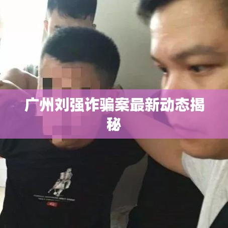广州刘强诈骗案最新动态揭秘