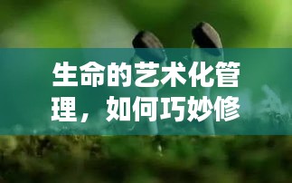 生命的艺术化管理，如何巧妙修剪枝叶？