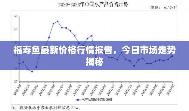 福寿鱼最新价格行情报告，今日市场走势揭秘