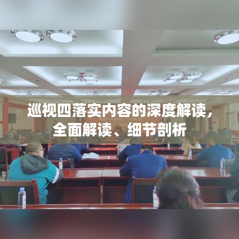 巡视四落实内容的深度解读，全面解读、细节剖析