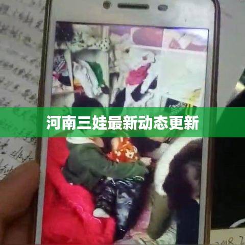 河南三娃最新动态更新