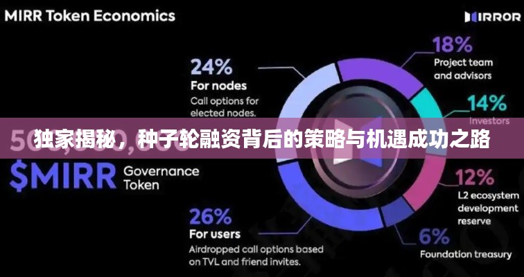 独家揭秘，种子轮融资背后的策略与机遇成功之路