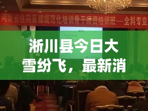 淅川县今日大雪纷飞，最新消息与实时动态报道