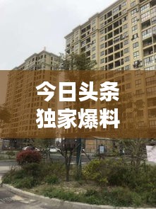 今日头条独家爆料，邱阳最新动态揭秘