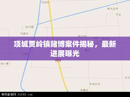 项城贾岭镇赌博案件揭秘，最新进展曝光