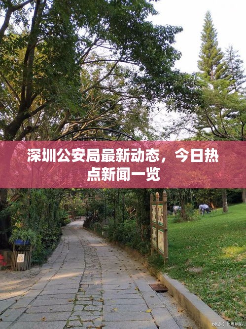 深圳公安局最新动态，今日热点新闻一览