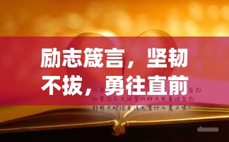 励志箴言，坚韧不拔，勇往直前，永不言败！