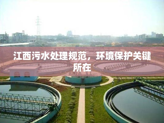 江西污水处理规范，环境保护关键所在