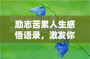 励志苦累人生感悟语录，激发你前行的力量