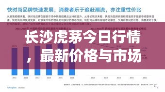 长沙虎茅今日行情，最新价格与市场走势深度解析