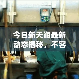 今日新天润最新动态揭秘，不容错过的消息查询！