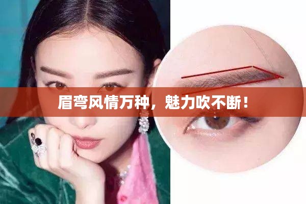 眉弯风情万种，魅力吹不断！