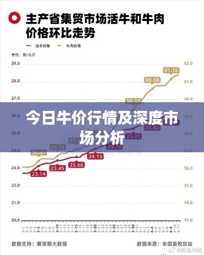 今日牛价行情及深度市场分析