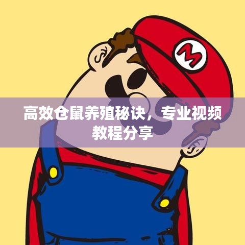 高效仓鼠养殖秘诀，专业视频教程分享