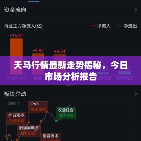 天马行情最新走势揭秘，今日市场分析报告