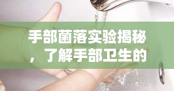 手部菌落实验揭秘，了解手部卫生的黄金标准