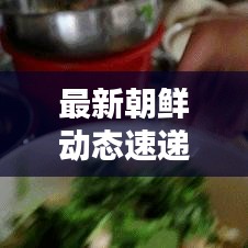 最新朝鲜动态速递