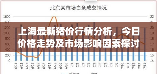 上海最新猪价行情分析，今日价格走势及市场影响因素探讨
