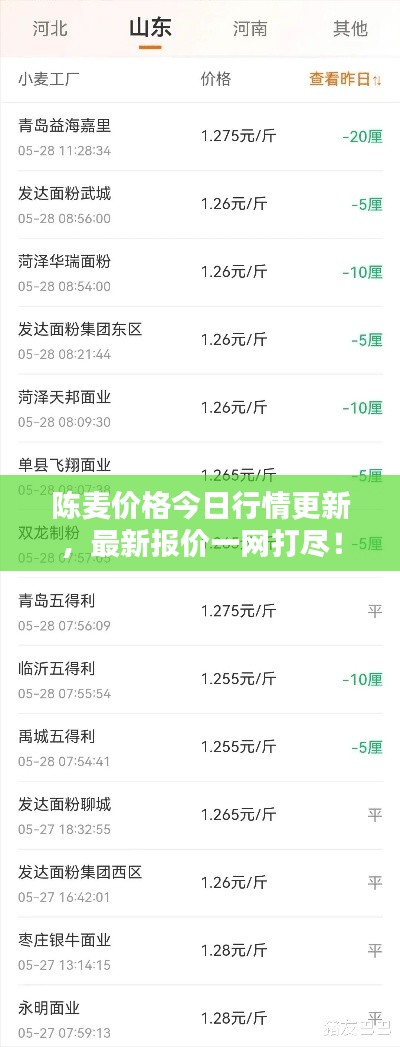 陈麦价格今日行情更新，最新报价一网打尽！