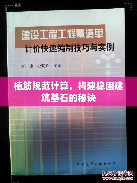 植筋规范计算，构建稳固建筑基石的秘诀