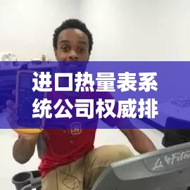 进口热量表系统公司权威排名榜单，行业领导者一览